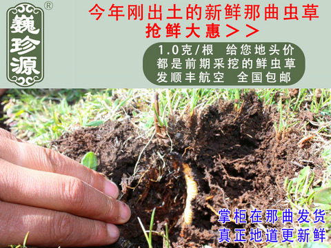 ���r���x�Ĳ����^�����r�x����Ρ��Դ1��/�����r�������x�Ĳ��^���������ڳ������^���������r�x��