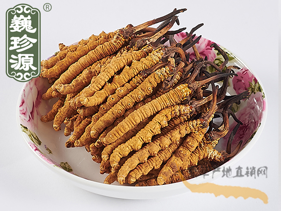 ���x�Ĳ݈DƬ���x�ݮa(ch��n)��ֱ�N�W(w��ng)���������x�Ĳ݈DƬ��Ρ��Դ���x�Ĳݵ������x����Ƭ�c�x�݈DƬ