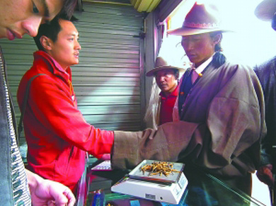 ���x(ch��ng)�Ĳ��I�u,�����x(ch��ng)�ݽ������Z(y��),�x(ch��ng)���I�uӑ�r(ji��)߀�r(ji��)�ð��Z(y��)