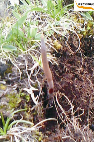 ���x�Ĳ���β���?���������ù��߲��ڶ��x�Ĳ�,���_��¶���˶��x�Ĳ����ڵ��µ��x��