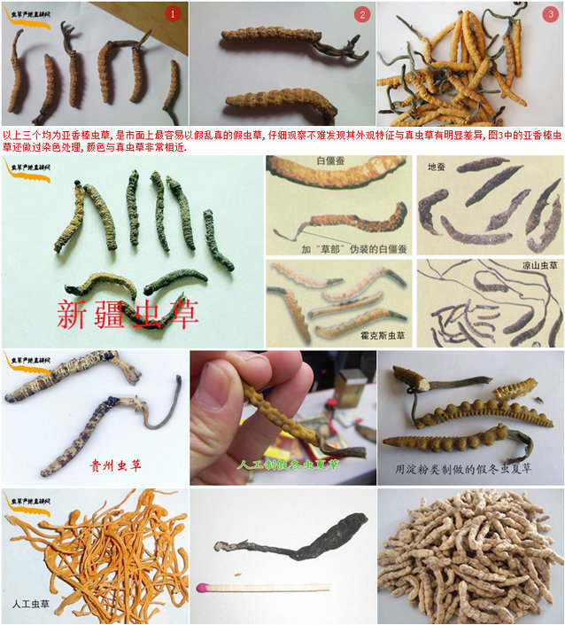 ������x(ch��ng)�݈DƬ,�ٶ��x(ch��ng)�Ĳݵ����^����,���x(ch��ng)�ݵĘ���,��N�ٶ��x(ch��ng)�ĲݵĈDƬչʾ